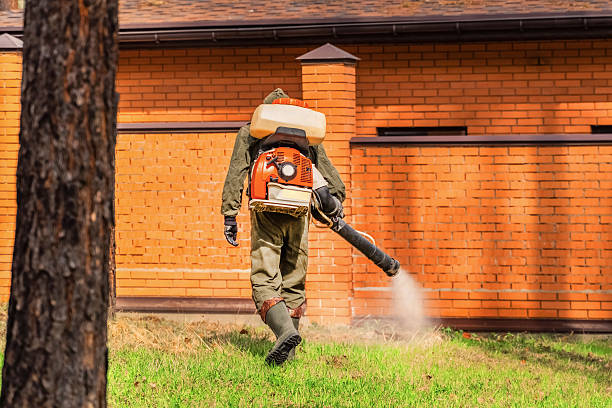 Trusted Cockroach Control service in Little Flock, AR - Nex Pest Control